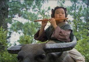 天师下山镇蛮夷,神秘力量与蛮荒世界的传奇对决  第3张